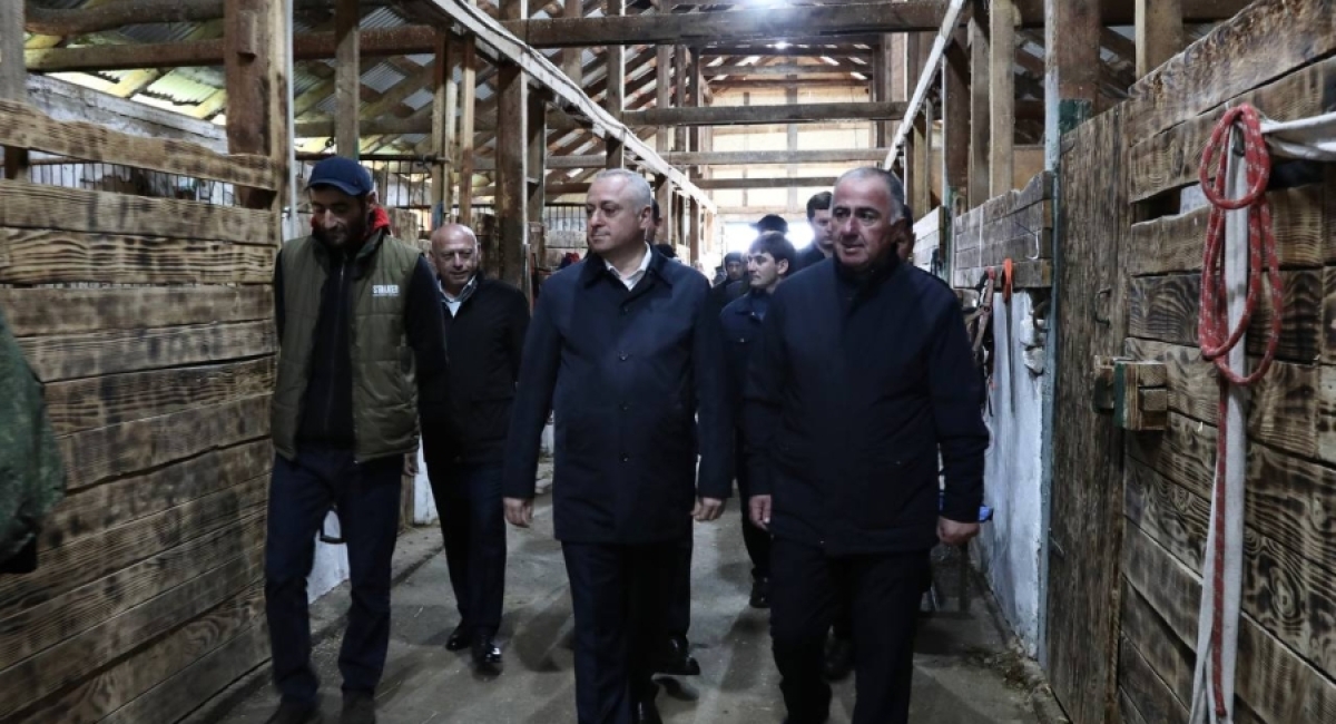 Президент Бадра Гунба и Вице-президент Беслан Бигвава посетили конюшню в селе Лыхны
