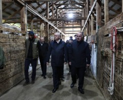 Президент Бадра Гунба и Вице-президент Беслан Бигвава посетили конюшню в селе Лыхны